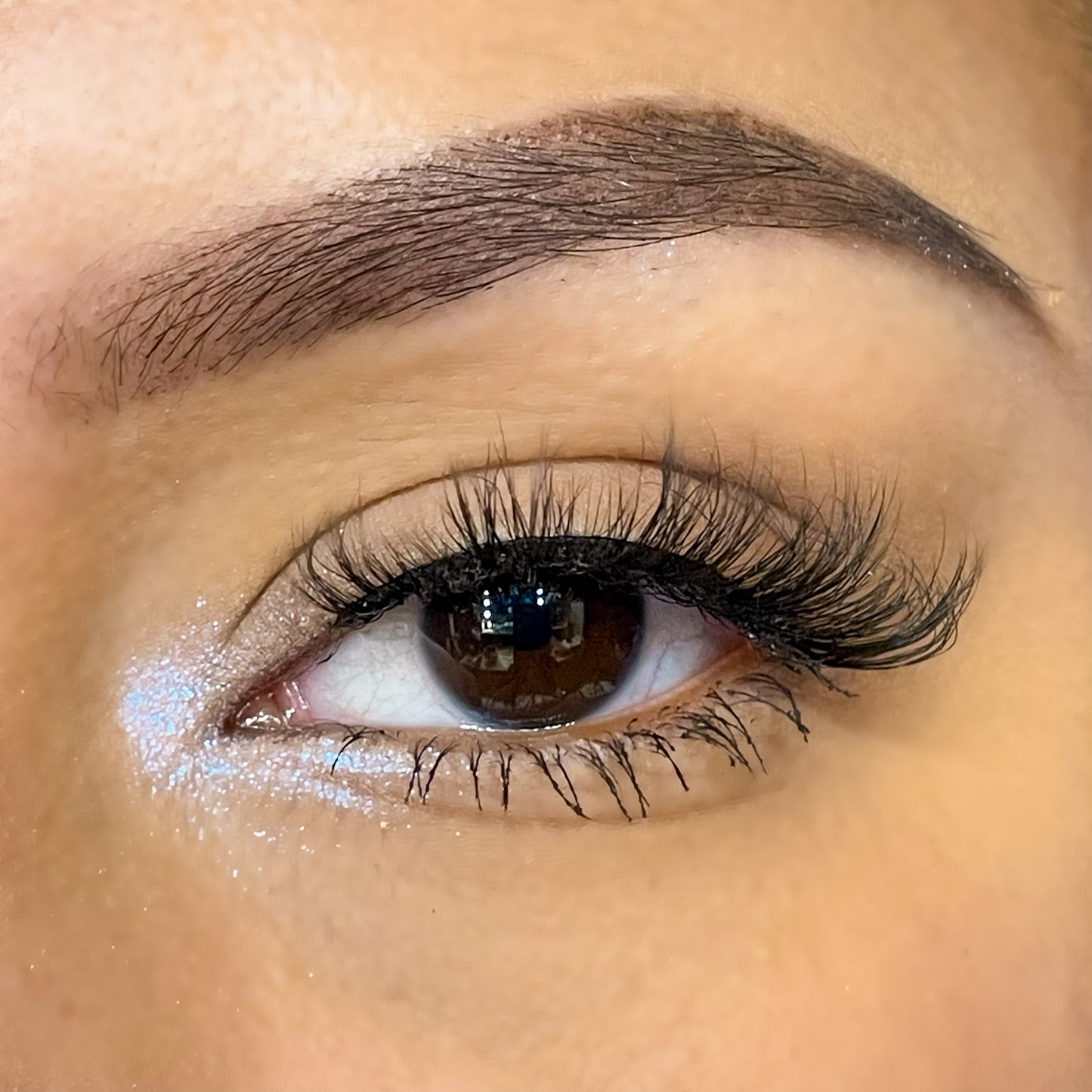 “Jingles!” Lashes
